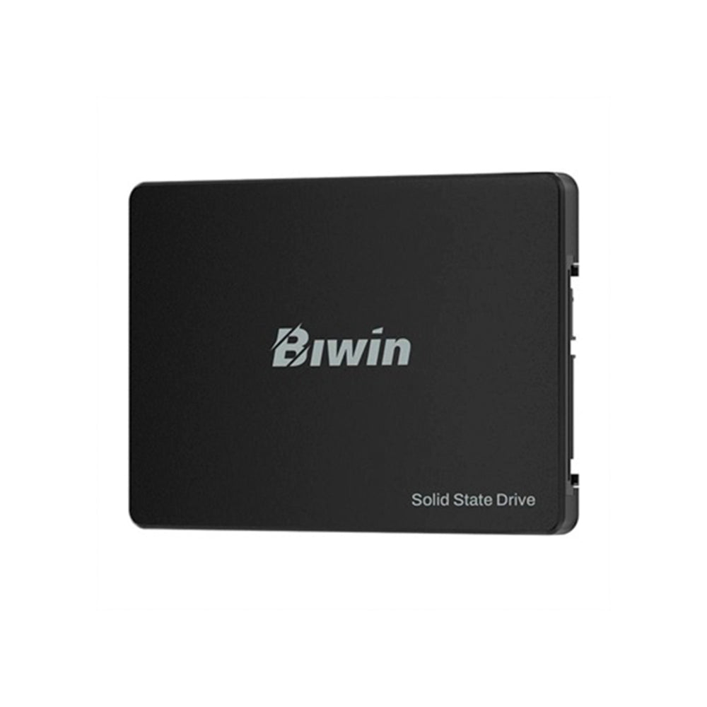 UNIDAD EN ESTADO SOLIDO (SSD) BIWIN M100, 256GB, SATA III (6.0GB/S), 2.5"