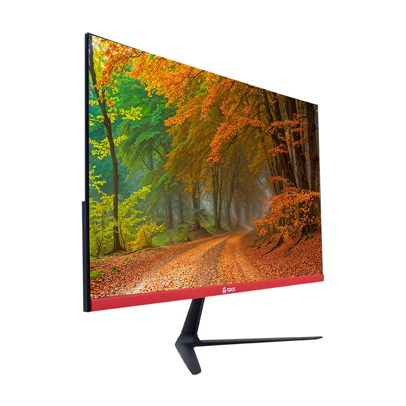 Monitor Curvo Teros 23.8" FHD VA 144Hz 1ms TE-2403S HDMI DP