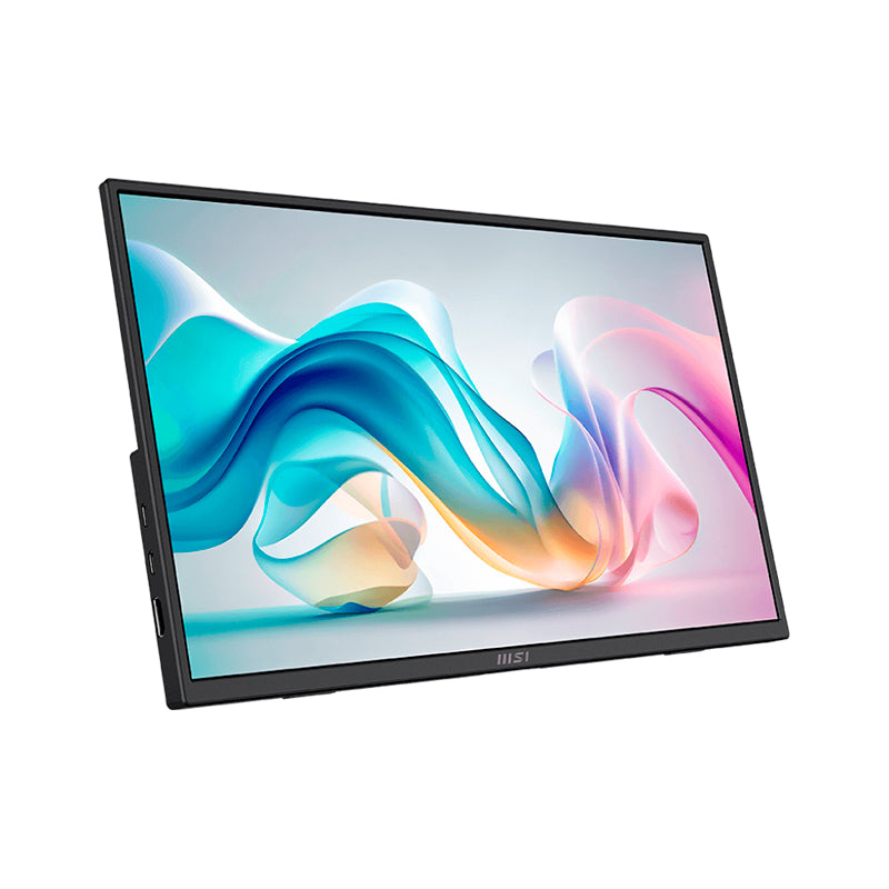 MONITOR PORTATIL MSI PRO MP165 E6 15.6 PULGADAS FHD IPS USB C HDMI