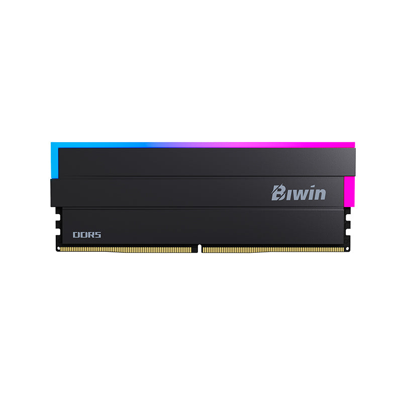 Memoria RAM Biwin Opal DW100 RGB 32GB (2x16GB) DDR5 6000MHz CL28 UDIMM Negra