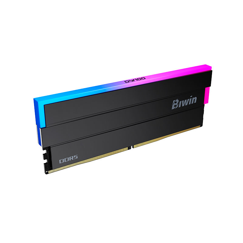 Memoria RAM Biwin Opal DW100 RGB 32GB (2x16GB) DDR5 6000MHz CL28 UDIMM Negra
